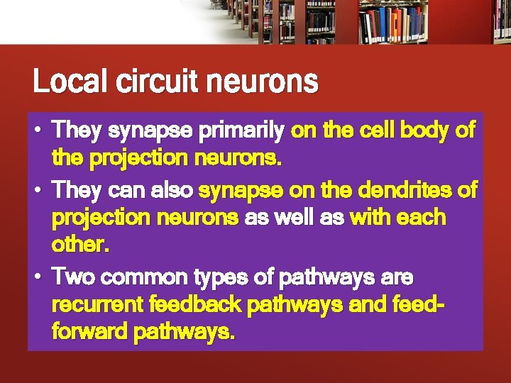 Local circuit neurons • They synapse primarily on the cell body of the projection