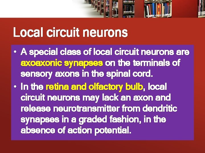 Local circuit neurons • A special class of local circuit neurons are axoaxonic synapses