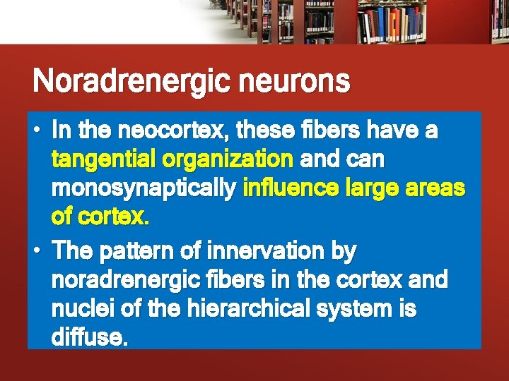 Noradrenergic neurons • In the neocortex, these fibers have a tangential organization and can