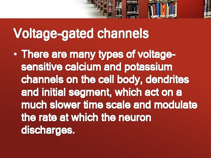 Voltage-gated channels • There are many types of voltagesensitive calcium and potassium channels on