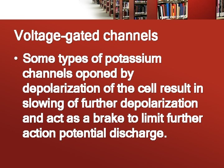 Voltage-gated channels • Some types of potassium channels oponed by depolarization of the cell