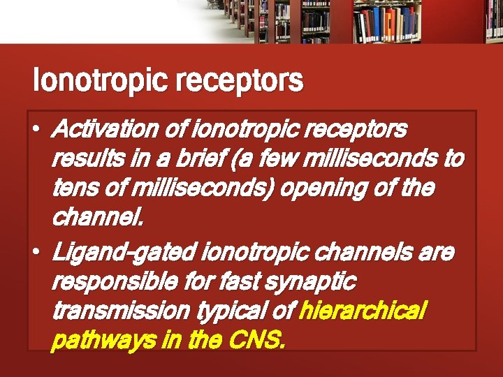 Ionotropic receptors • Activation of ionotropic receptors results in a brief (a few milliseconds