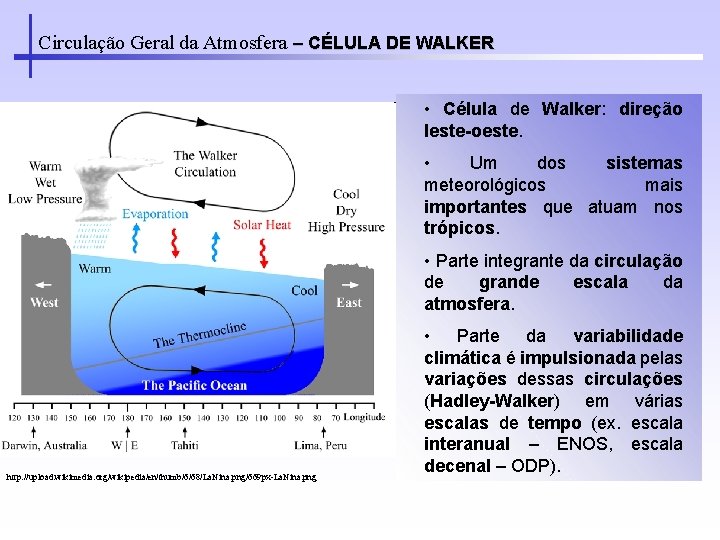 Circulação Geral da Atmosfera – CÉLULA DE WALKER • Célula de Walker: direção leste-oeste.