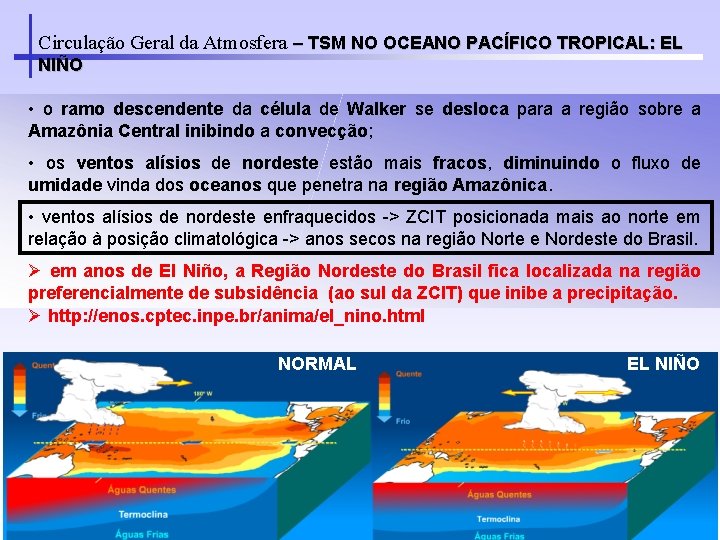 Circulação Geral da Atmosfera – TSM NO OCEANO PACÍFICO TROPICAL: EL NIÑO • o
