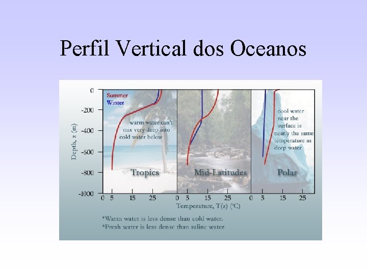 Perfil Vertical dos Oceanos 