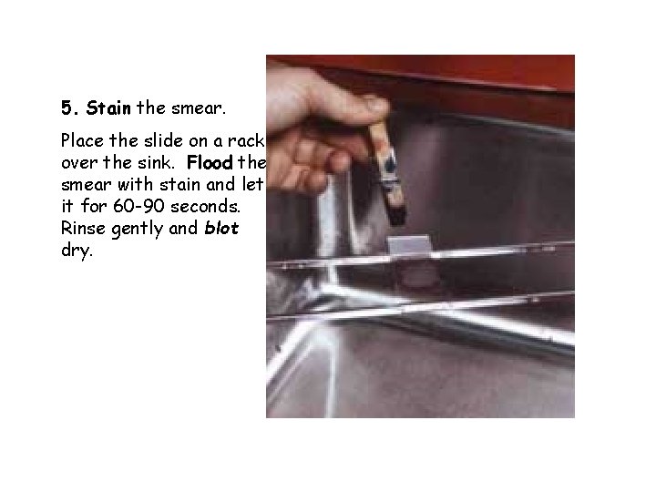 5. Stain the smear. Place the slide on a rack over the sink. Flood