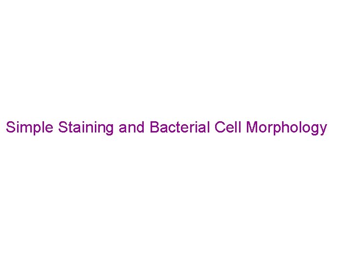 Simple Staining and Bacterial Cell Morphology 