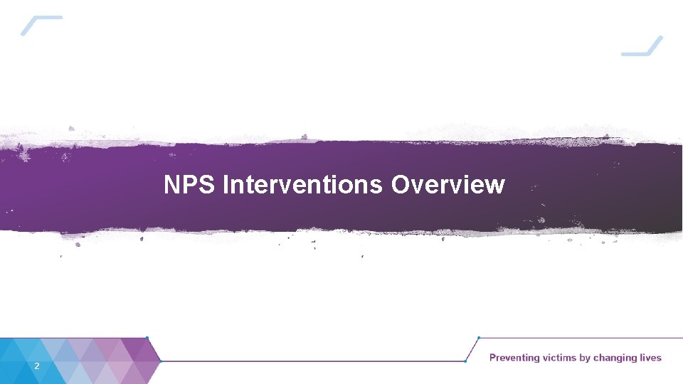 NPS Interventions Overview 2 