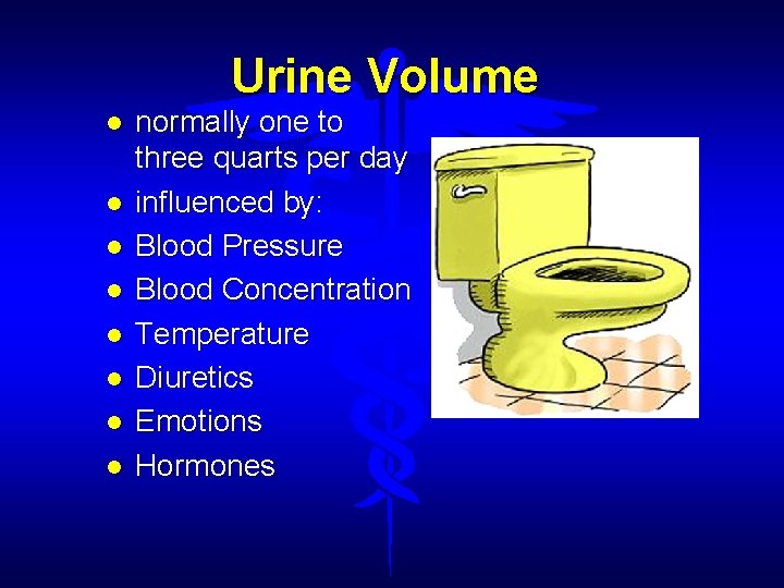 Urine Volume normally one to three quarts per day influenced by: Blood Pressure Blood