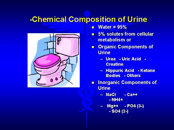 -Chemical Composition of Urine Water = 95% 5% solutes from cellular metabolism or Organic