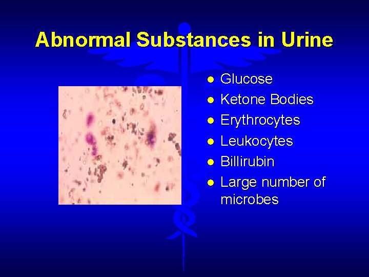 Abnormal Substances in Urine Glucose Ketone Bodies Erythrocytes Leukocytes Billirubin Large number of microbes