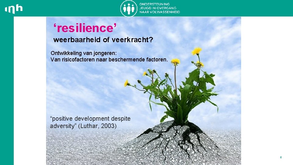 ‘resilience’ weerbaarheid of veerkracht? Ontwikkeling van jongeren: Van risicofactoren naar beschermende factoren. “positive development