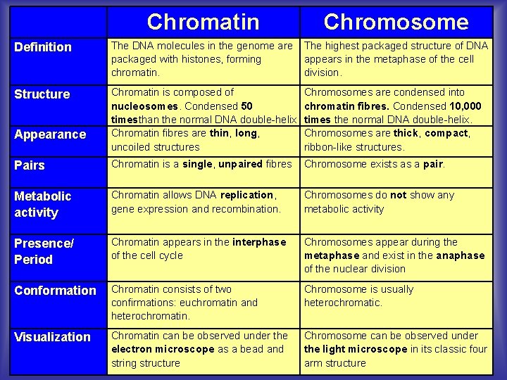 Chromatin Chromosome Definition The DNA molecules in the genome are packaged with histones, forming