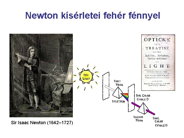 Newton kísérletei fehér fénnyel Sir Isaac Newton (1642– 1727) 