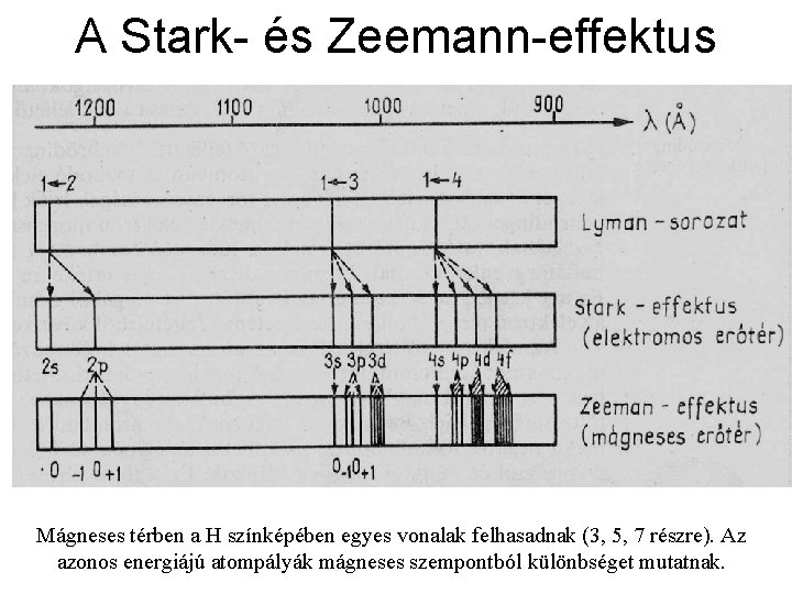 A Stark- és Zeemann-effektus Mágneses térben a H színképében egyes vonalak felhasadnak (3, 5,