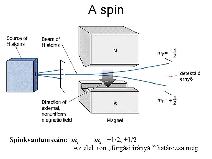 A spin detektáló ernyő Spinkvantumszám: ms ms= − 1/2, +1/2 Az elektron „forgási irányát”