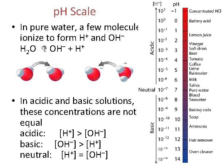 p. H Scale • In pure water, a few molecules ionize to form H+
