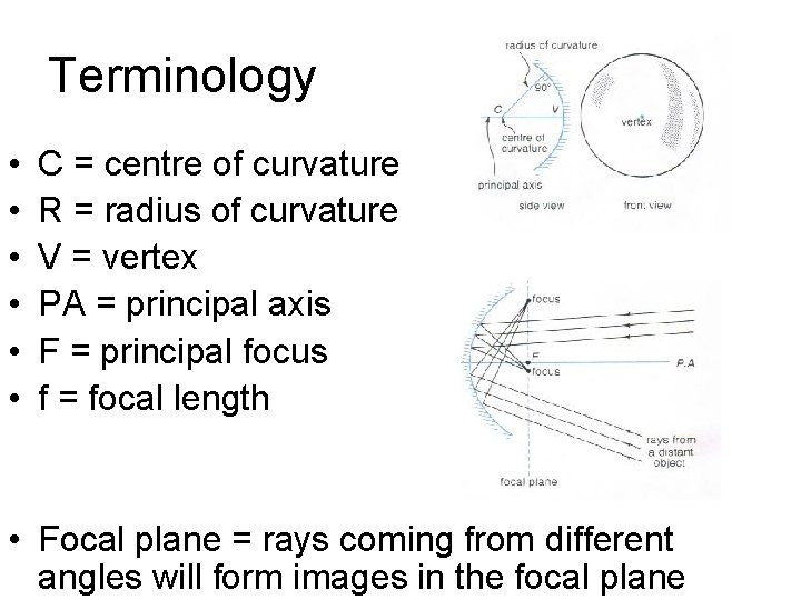 Terminology • • • C = centre of curvature R = radius of curvature