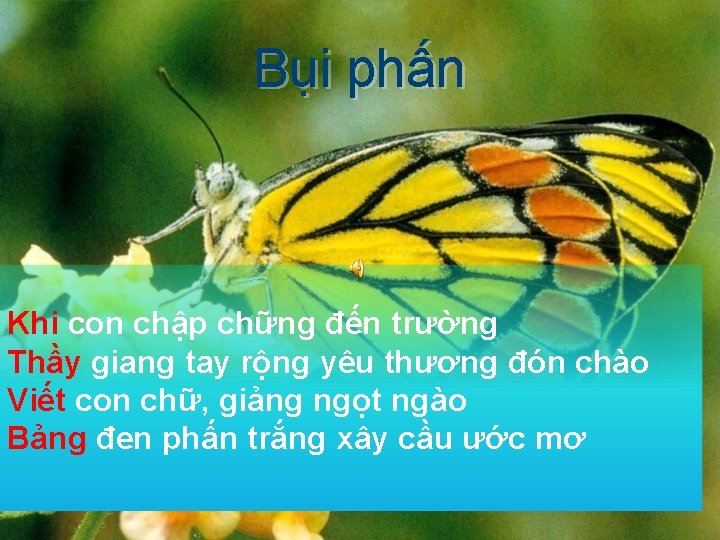 Bụi phấn Khi con chập chững đến trường Thầy giang tay rộng yêu thương