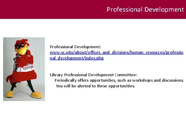 Professional Development: www. sc. edu/about/offices_and_divisions/human_resources/professio nal_development/index. php Library Professional Development Committee: Periodically offers opportunities,