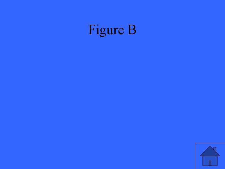 Figure B 