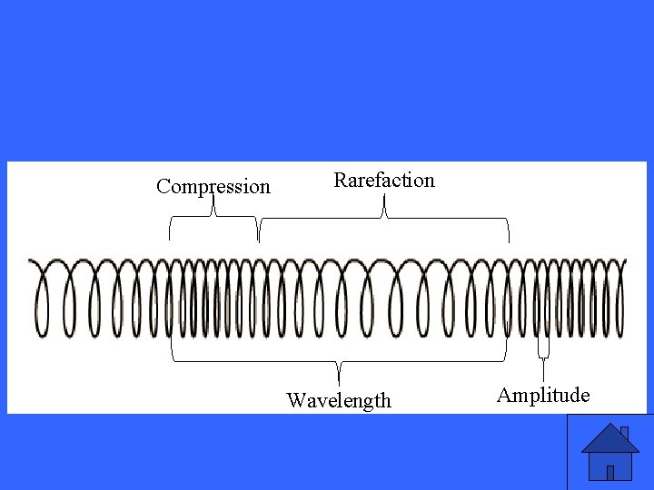 Compression Rarefaction Wavelength Amplitude 