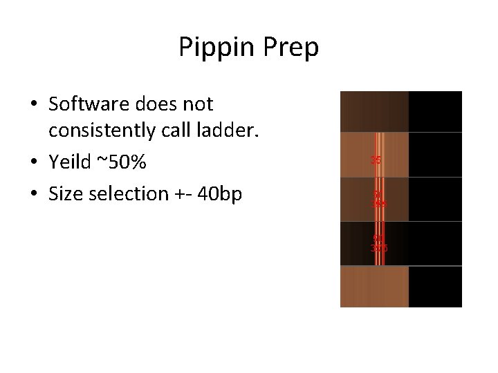 Pippin Prep • Software does not consistently call ladder. • Yeild ~50% • Size