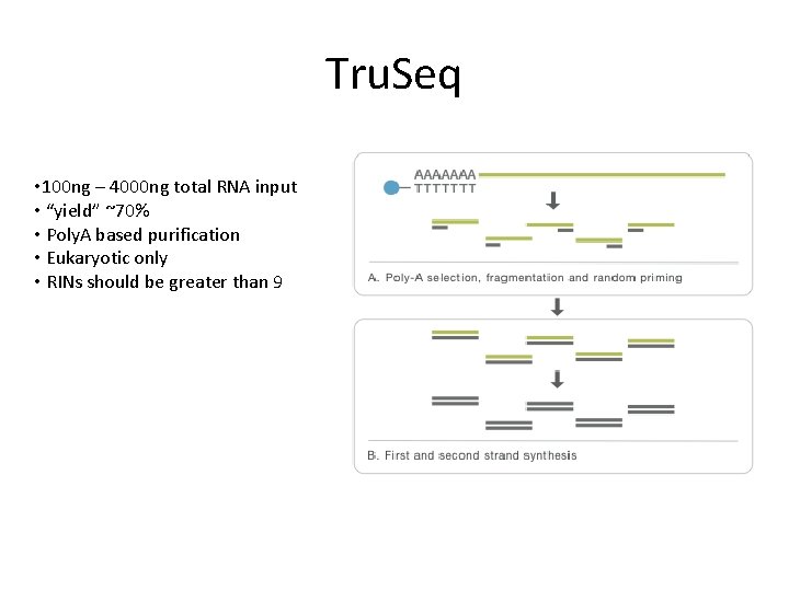 Tru. Seq • 100 ng – 4000 ng total RNA input • “yield” ~70%