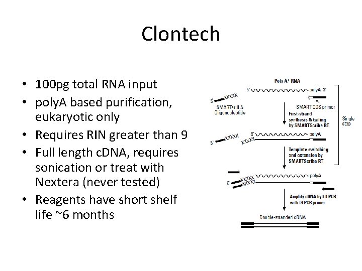 Clontech • 100 pg total RNA input • poly. A based purification, eukaryotic only