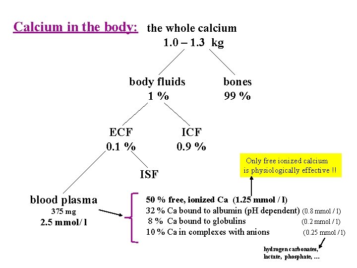 Metabolism of calcium and phosphates Regulation of bone