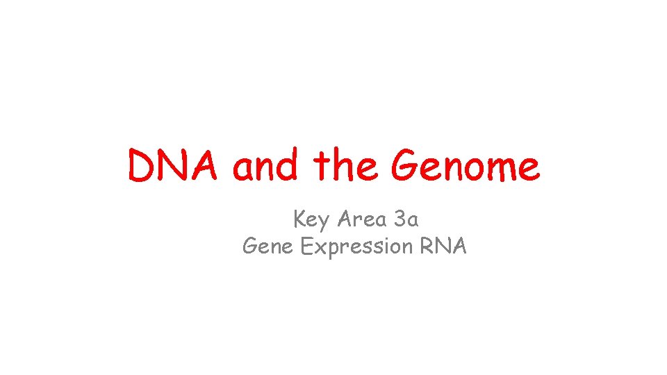 DNA and the Genome Key Area 3 a Gene Expression RNA 