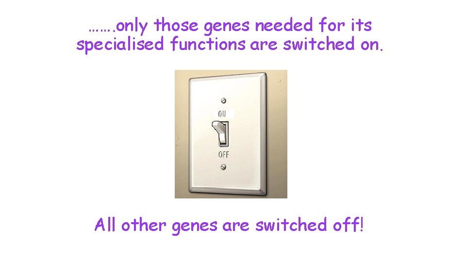 ……. only those genes needed for its specialised functions are switched on. All other