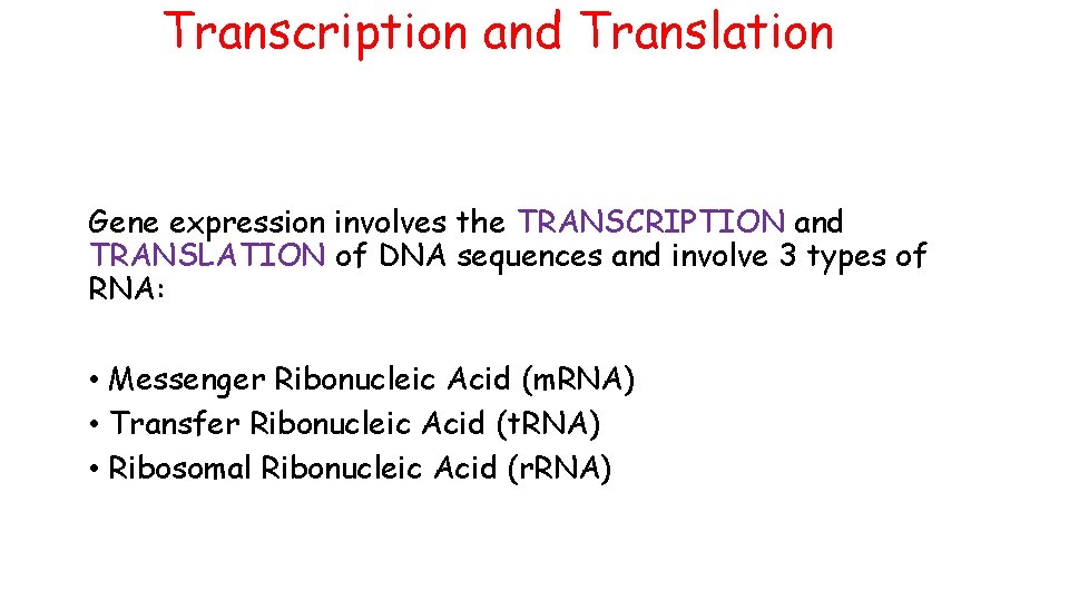 Transcription and Translation Gene expression involves the TRANSCRIPTION and TRANSLATION of DNA sequences and