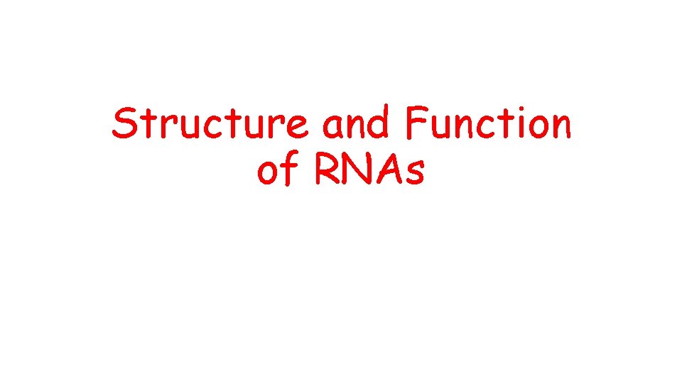 Structure and Function of RNAs 