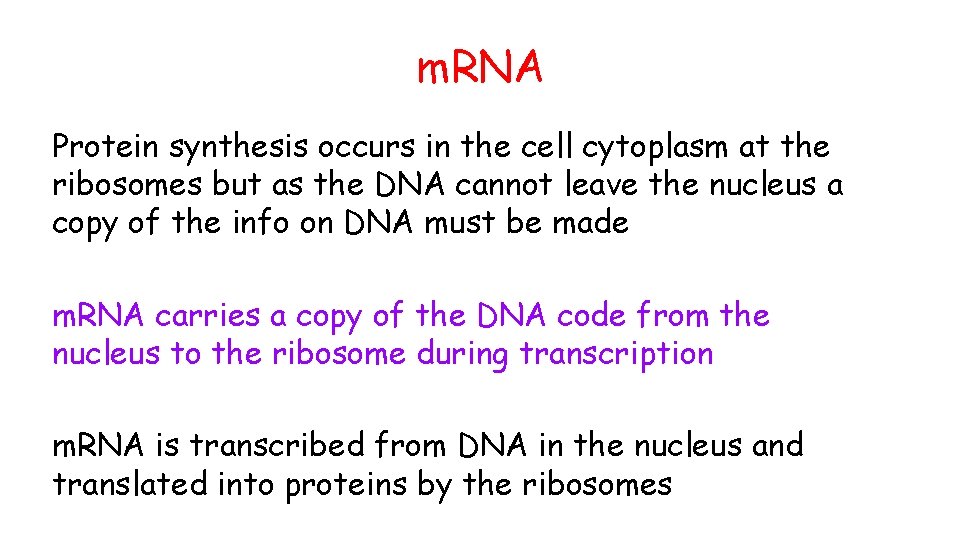 m. RNA Protein synthesis occurs in the cell cytoplasm at the ribosomes but as