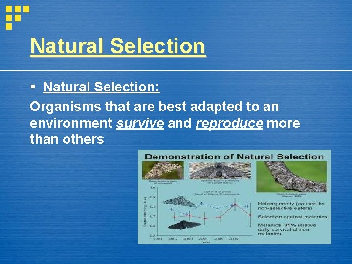 Natural Selection § Natural Selection: Organisms that are best adapted to an environment survive