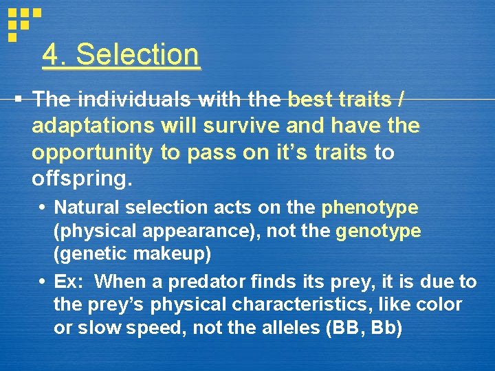 4. Selection § The individuals with the best traits / adaptations will survive and