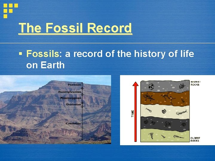 The Fossil Record § Fossils: Fossils a record of the history of life on