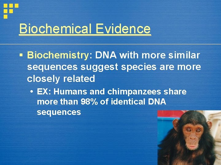 Biochemical Evidence § Biochemistry: Biochemistry DNA with more similar sequences suggest species are more
