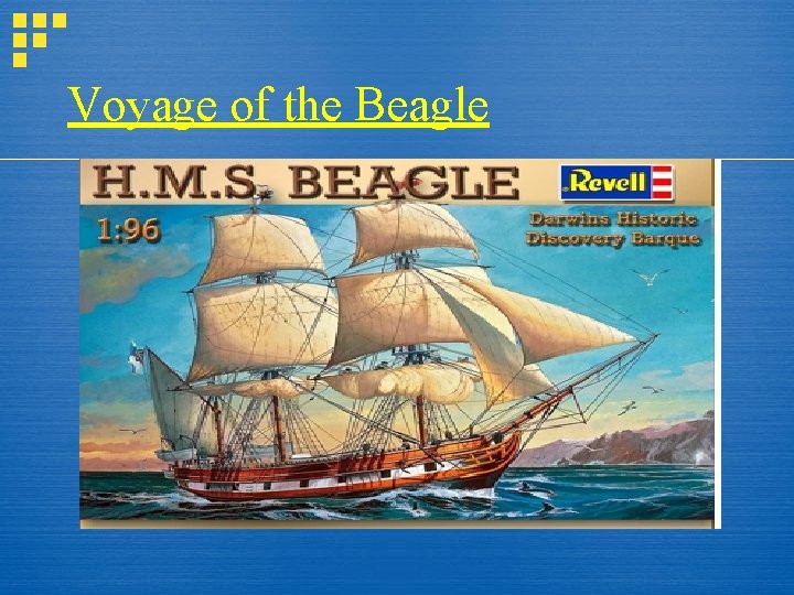 Voyage of the Beagle 