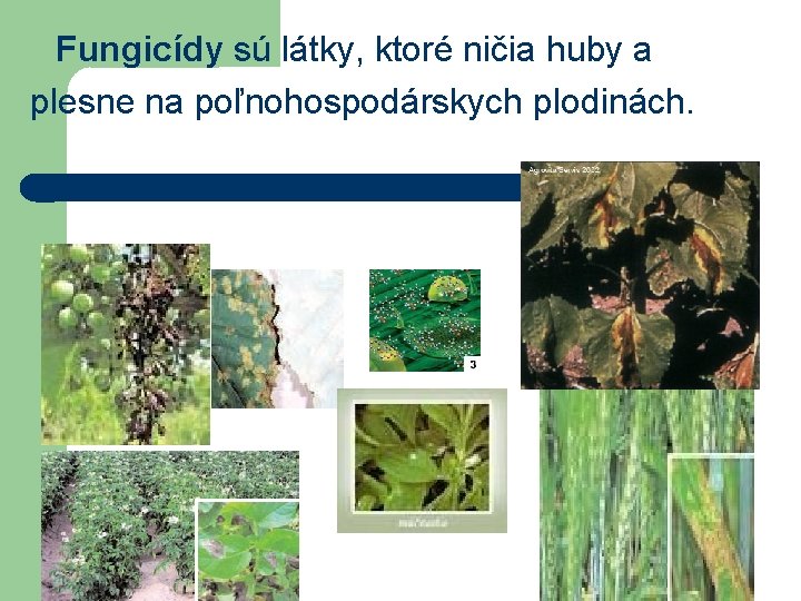 Fungicídy sú látky, ktoré ničia huby a plesne na poľnohospodárskych plodinách. 