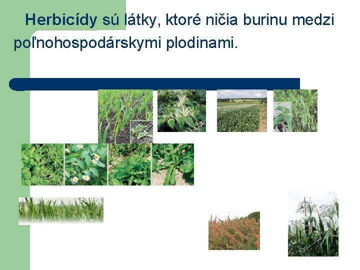 Herbicídy sú látky, ktoré ničia burinu medzi poľnohospodárskymi plodinami. 