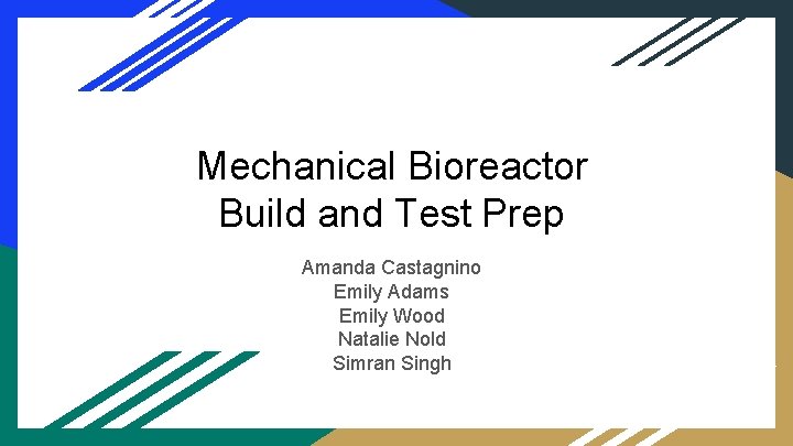 Mechanical Bioreactor Build and Test Prep Amanda Castagnino Emily Adams Emily Wood Natalie Nold