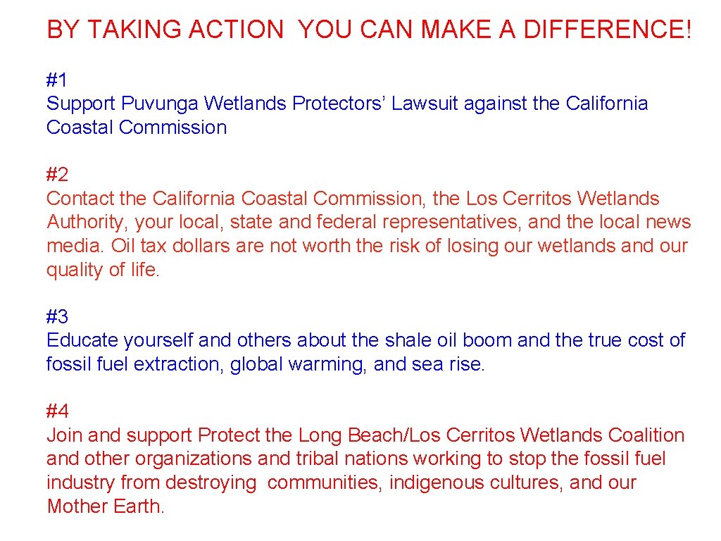 BY TAKING ACTION YOU CAN MAKE A DIFFERENCE! #1 Support Puvunga Wetlands Protectors’ Lawsuit
