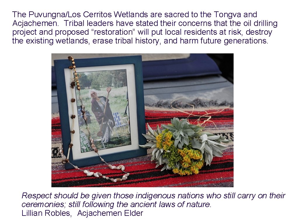 The Puvungna/Los Cerritos Wetlands are sacred to the Tongva and Acjachemen. Tribal leaders have