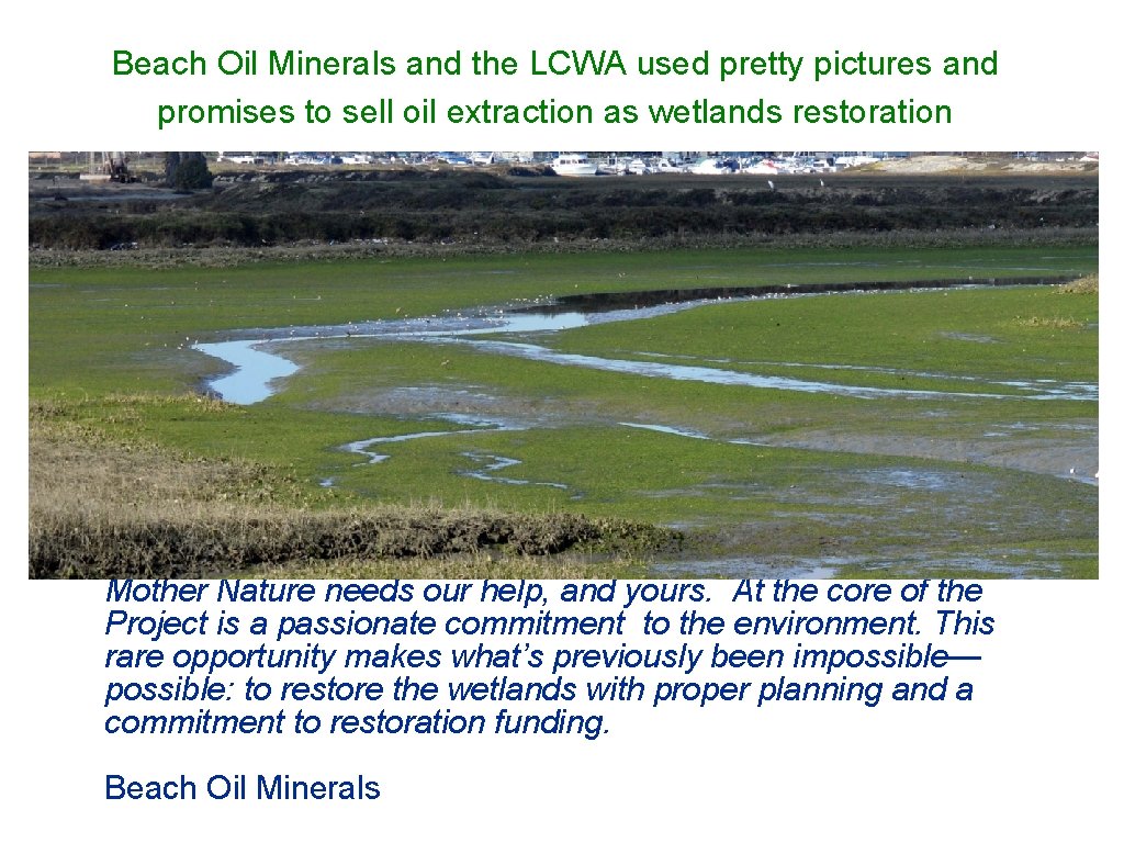 Beach Oil Minerals and the LCWA used pretty pictures and promises to sell oil