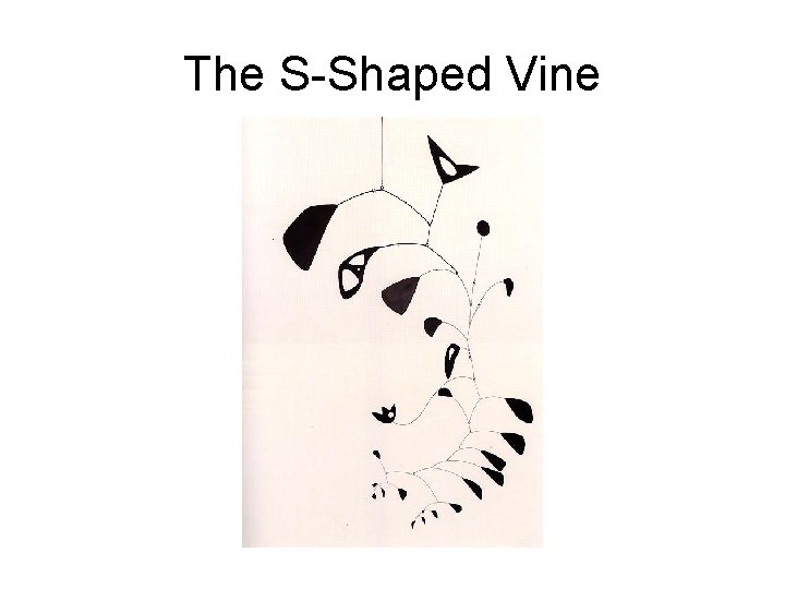 The S-Shaped Vine 