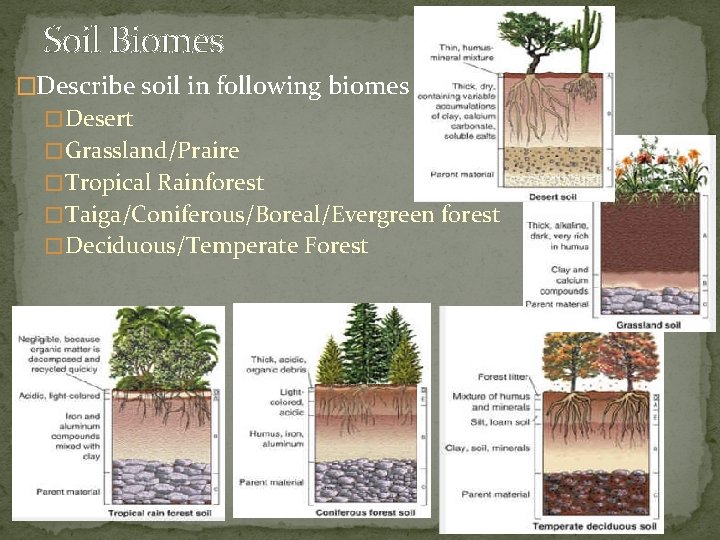 Soil Biomes �Describe soil in following biomes � Desert � Grassland/Praire � Tropical Rainforest