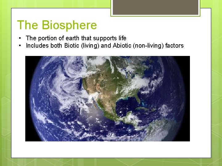 Ecology 2 1 Organisms and Their Relationships Early