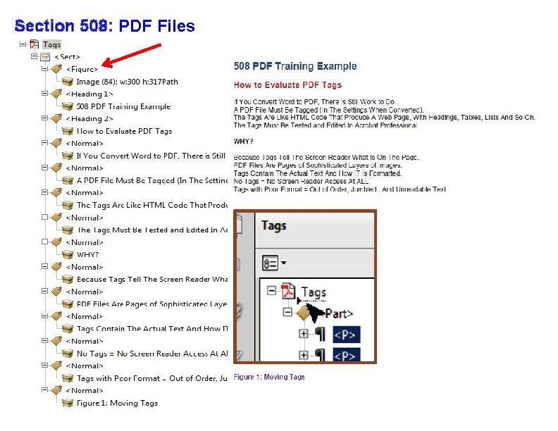 Section 508: PDF Files 